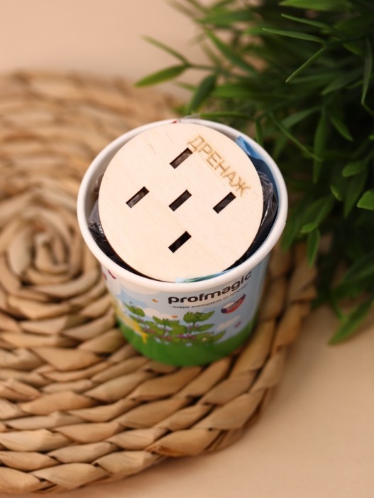 Набор для выращивания Ecolife &quot;Мелисса&quot; 