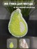 ЭКО губка для посуды &quot;Pear&quot; 
