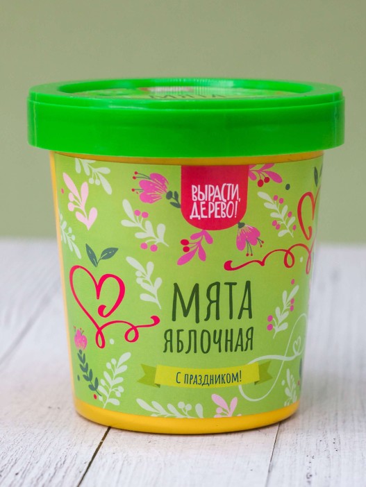 Набор подарочный для выращивания &quot;Мята яблочная&quot; 