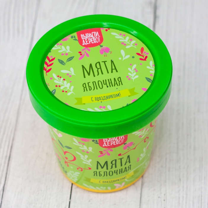 Набор подарочный для выращивания &quot;Мята яблочная&quot; 