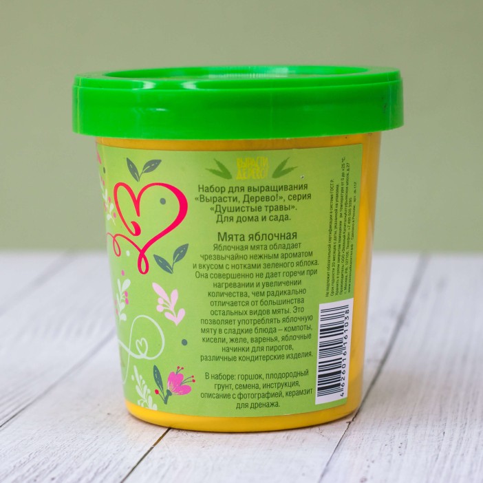 Набор подарочный для выращивания &quot;Мята яблочная&quot; 