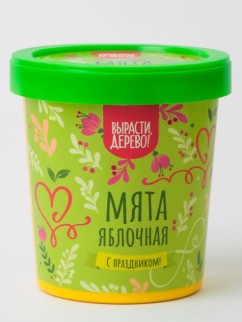 Набор подарочный для выращивания "Мята яблочная"