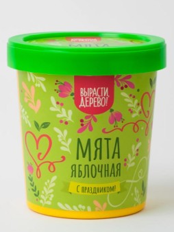 Набор подарочный для выращивания "Мята яблочная"