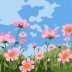 Картина по номерам на подрамнике Draw Me! "Маки", (20*20 см)