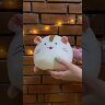Мягкая игрушка-подушка &quot;Котик пухляш&quot;, 24 см 