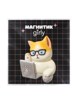 Магнит из смолы на холодильник GIRLY "Умный кот" (5.5*4.5)