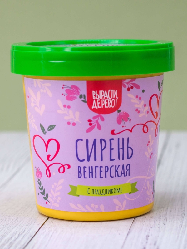 Набор подарочный для выращивания "Сирень венгерская"
