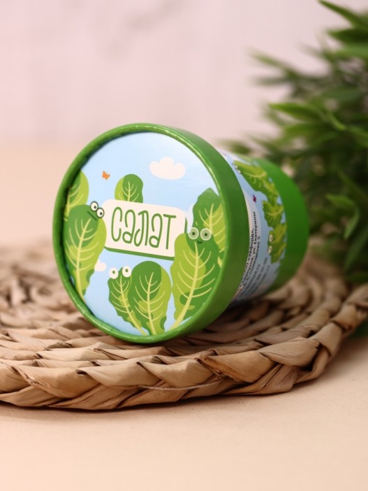 Набор для выращивания Ecolife &quot;Салат&quot; 