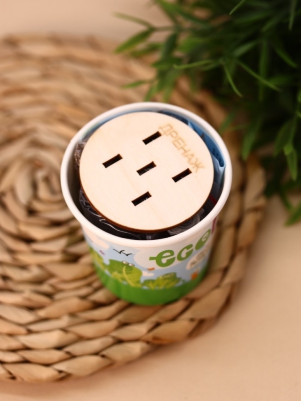 Набор для выращивания Ecolife "Салат"