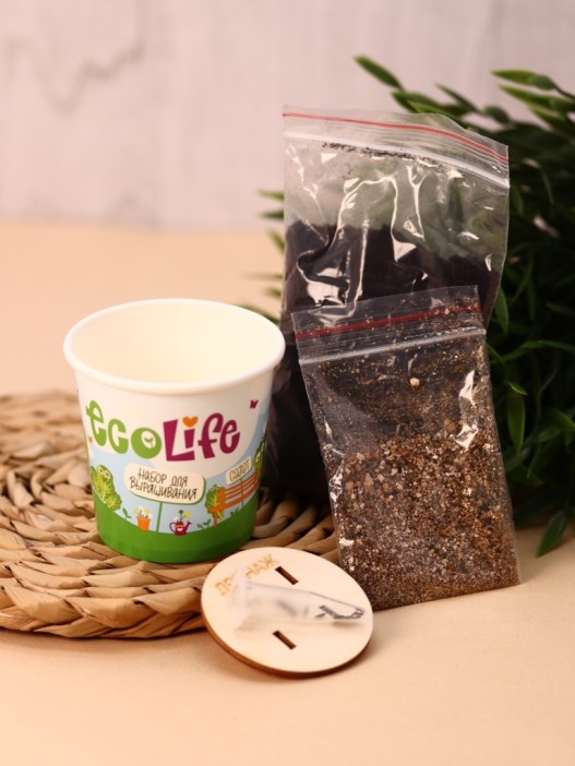Набор для выращивания Ecolife &quot;Салат&quot; 