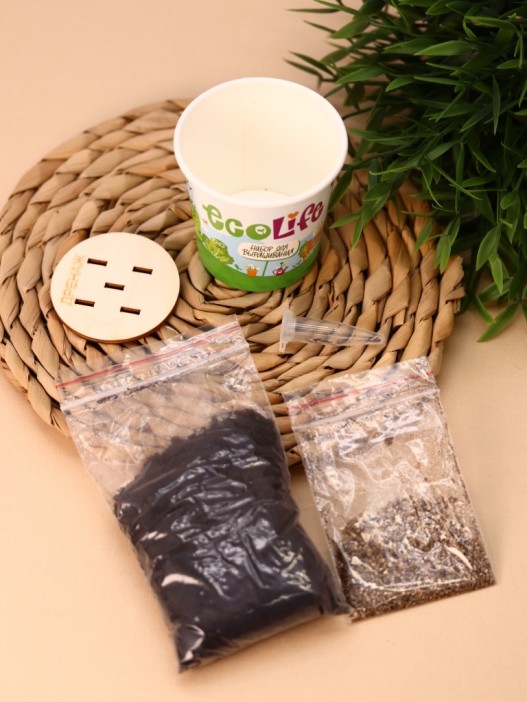 Набор для выращивания Ecolife &quot;Салат&quot; 