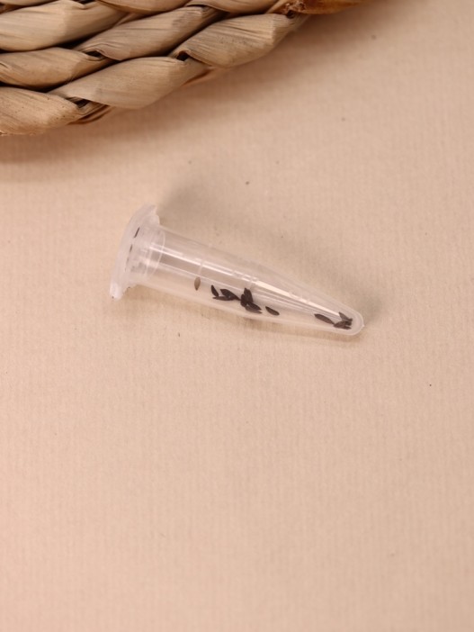 Набор для выращивания Ecolife &quot;Салат&quot; 