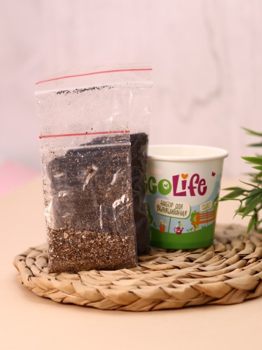 Набор для выращивания Ecolife &quot;Салат&quot; 