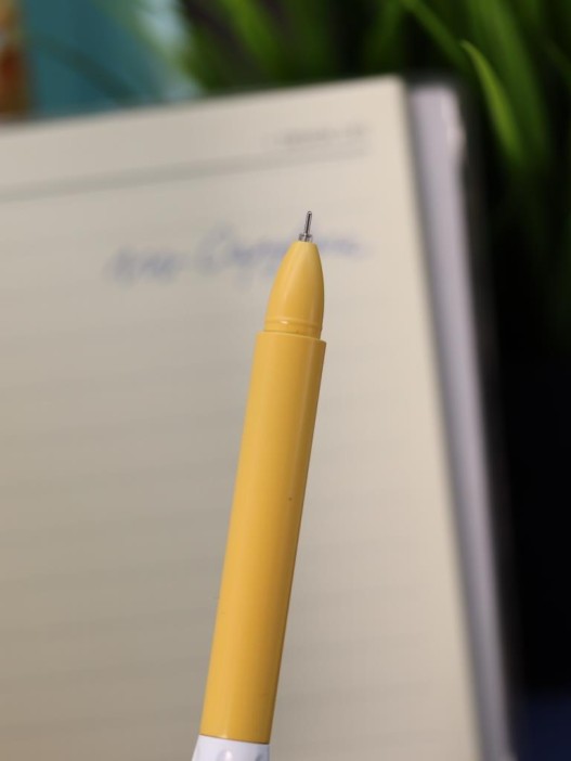 Ручка  &quot;Capybara, so relax!&quot;, mix 