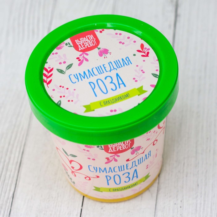 Набор подарочный для выращивания &quot;Сумасшедшая роза&quot; 