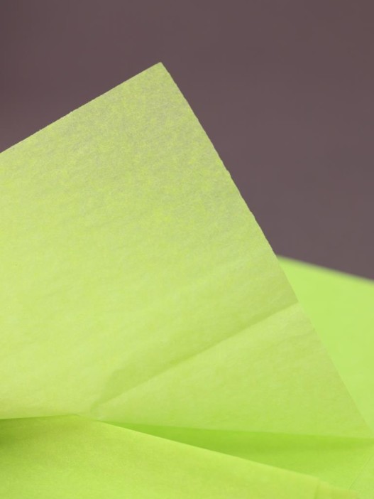 Упаковочный набор д/подарков (2 листа+лента+открытка+5 наклеек) &quot;Lime freshness&quot;, 50x70см 