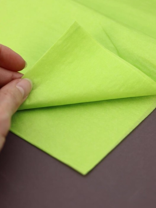 Упаковочный набор д/подарков (2 листа+лента+открытка+5 наклеек) &quot;Lime freshness&quot;, 50x70см 