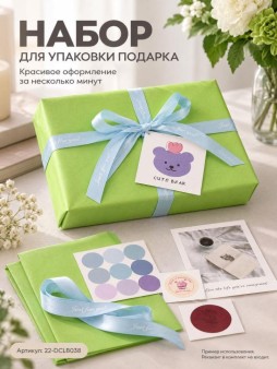 Упаковочный набор д/подарков (2 листа+лента+открытка+5 наклеек) "Свежесть лайма", 50х70см
