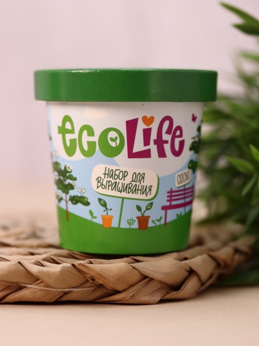 Набор для выращивания Ecolife &quot;Сосна&quot; 