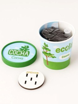 Набор для выращивания Ecolife "Сосна"