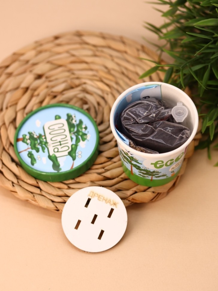 Набор для выращивания Ecolife "Сосна"