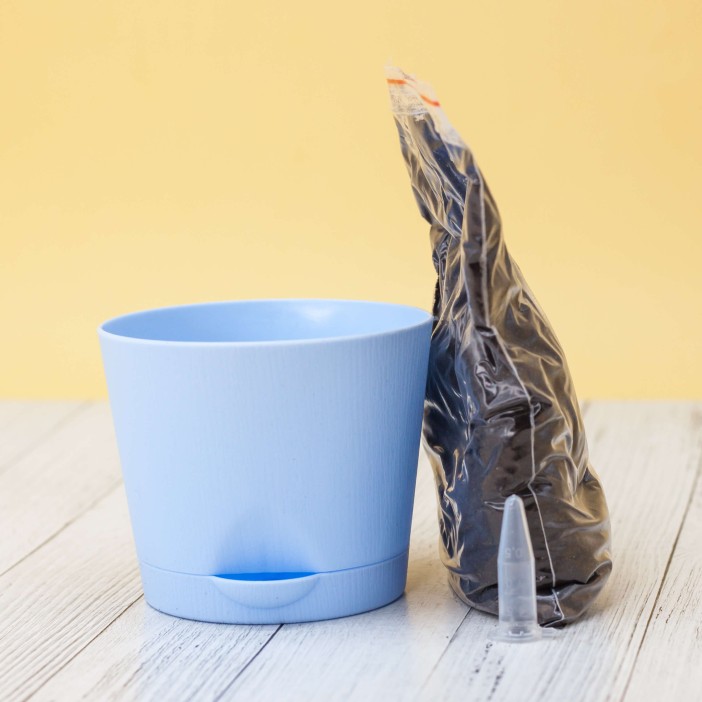 Набор для выращивания &quot;Тысяча листьев&quot;, &quot;Агава&quot; 