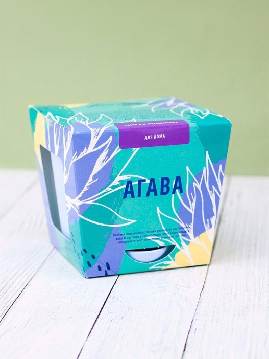 Набор для выращивания &quot;Тысяча листьев&quot;, &quot;Агава&quot; 