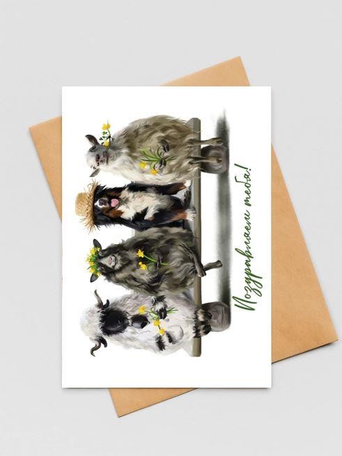 Набор открыток 5 шт. «Дружная компания», 10*15 см 