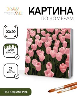 Картина по номерам на подрамнике Draw Me! «Beautiful flowers», (20*20 см)