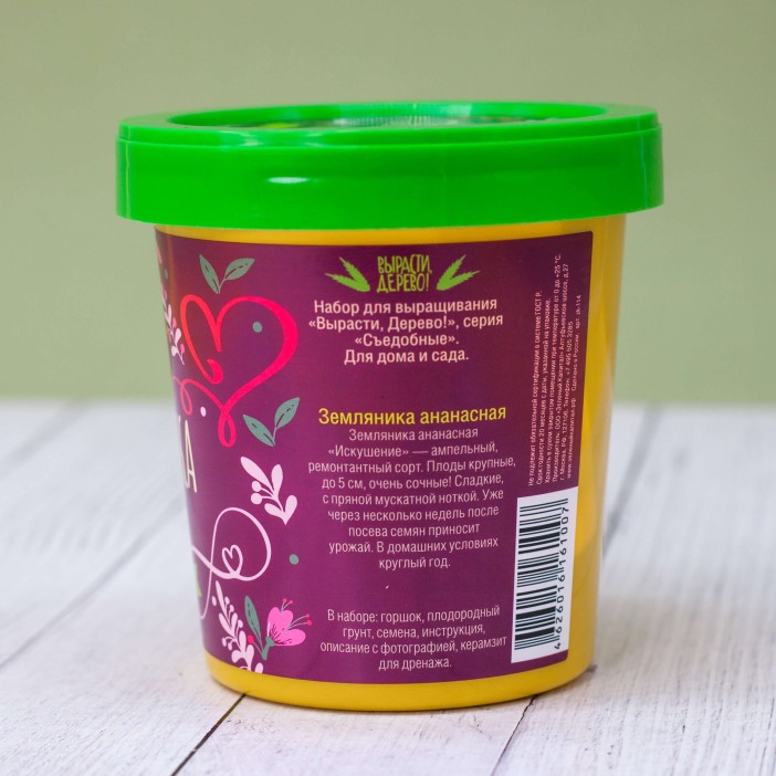 Набор подарочный для выращивания &quot;Земляника ананасная&quot; 