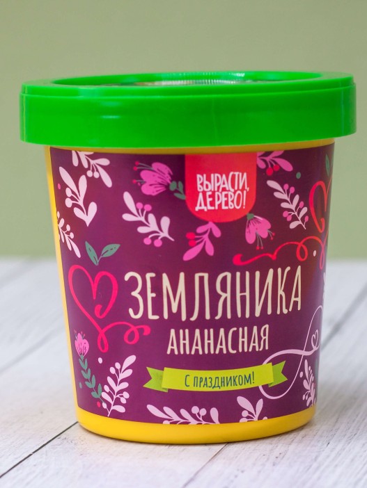 Набор подарочный для выращивания &quot;Земляника ананасная&quot; 