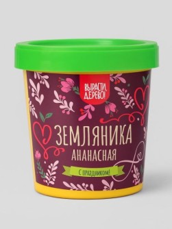 Набор подарочный для выращивания "Земляника ананасная"