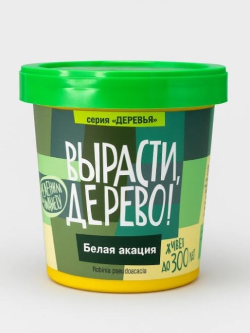 Набор для выращивания "Белая акация"