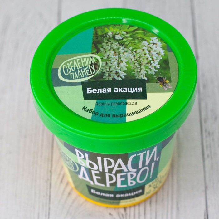 Набор для выращивания &quot;Белая акация&quot; 