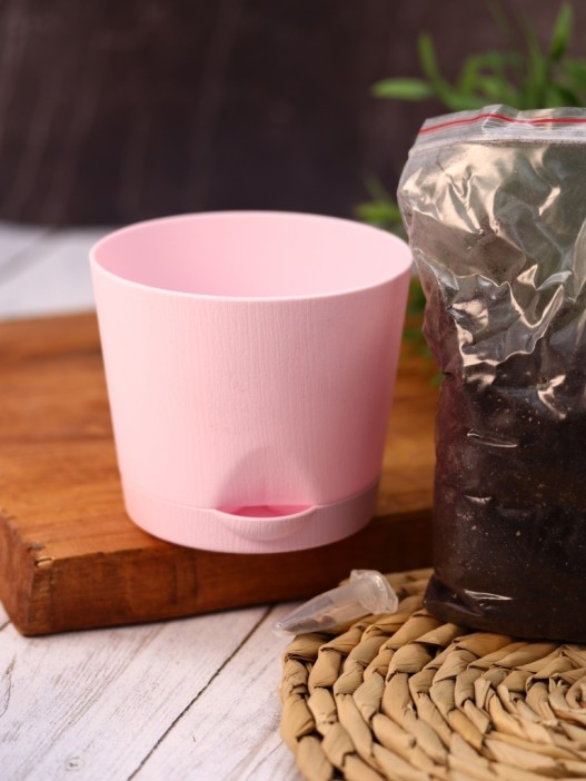 Наборы для выращивания, mix (уценка) 