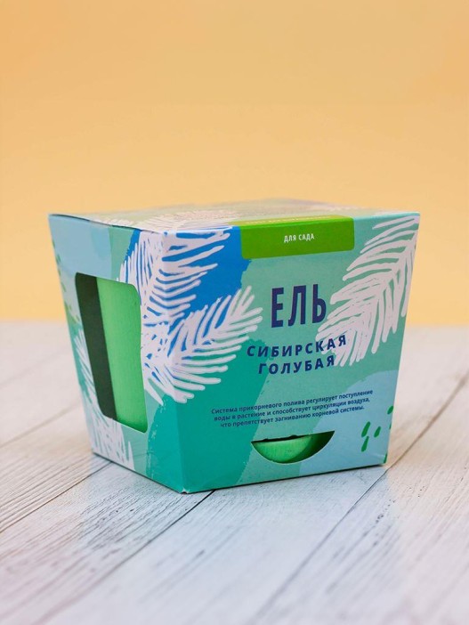 Набор для выращивания &quot;Тысяча листьев&quot;, &quot;Ель сибирская голубая&quot; 