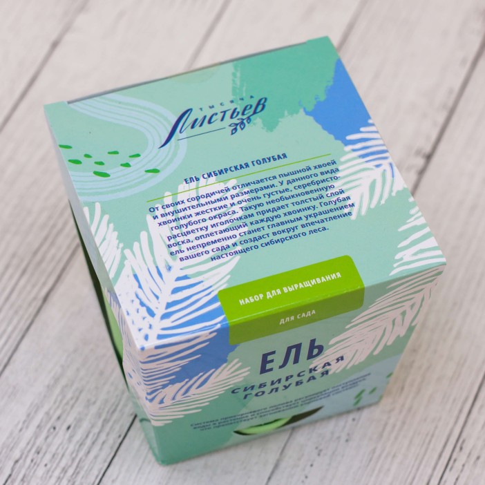 Набор для выращивания &quot;Тысяча листьев&quot;, &quot;Ель сибирская голубая&quot; 