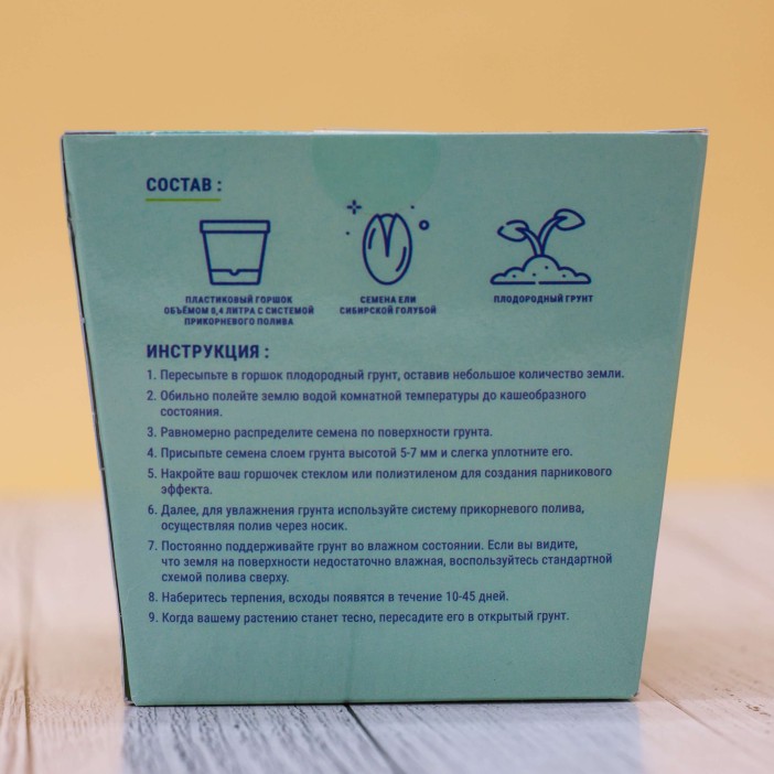 Набор для выращивания &quot;Тысяча листьев&quot;, &quot;Ель сибирская голубая&quot; 