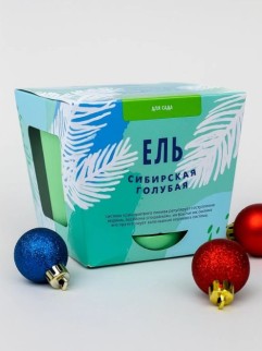 Набор для выращивания &quot;Тысяча листьев&quot;, &quot;Ель сибирская голубая&quot;