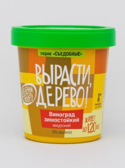 Набор для выращивания "Виноград амурский"