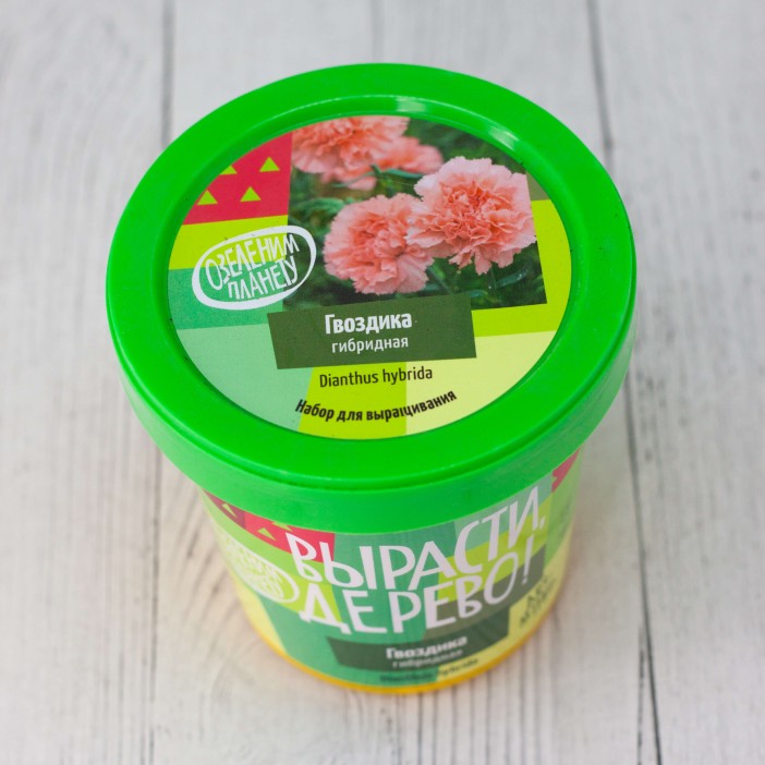 Набор для выращивания "Гвоздика гибридная" 