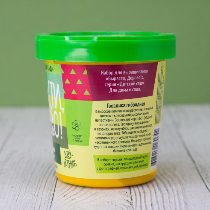 Набор для выращивания "Гвоздика гибридная" 