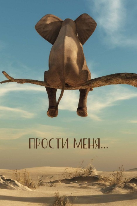 Набор открыток 5 шт. «Прости меня...», 10*15 см 