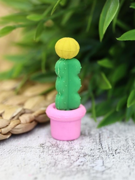 Ластики &quot;Cactus&quot;, шоу-бокс 12 шт. 