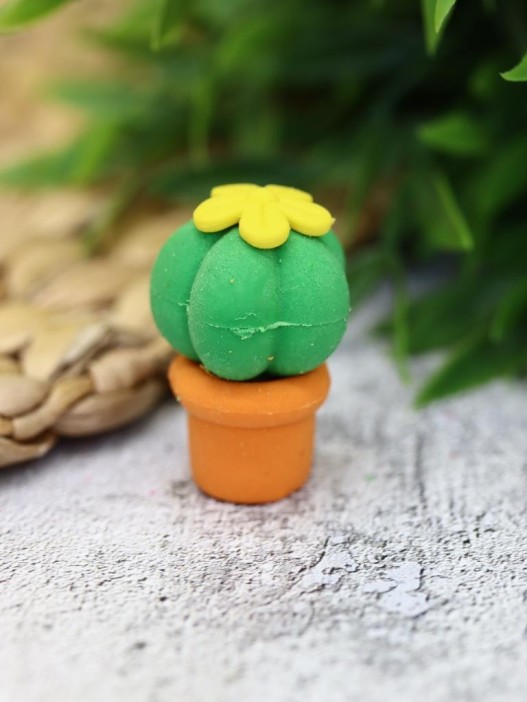 Ластики &quot;Cactus&quot;, шоу-бокс 12 шт. 