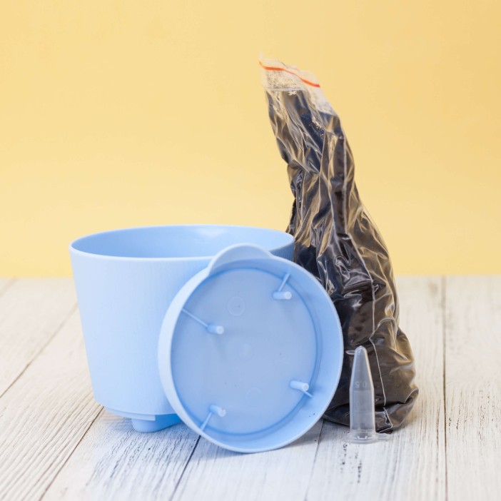 Набор для выращивания &quot;Тысяча листьев&quot;, &quot;Мята яблочная&quot; 