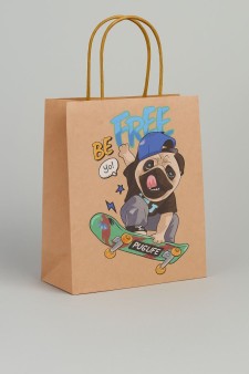 Пакет подарочный крафтовый «CoOol», be free (32*42*11)