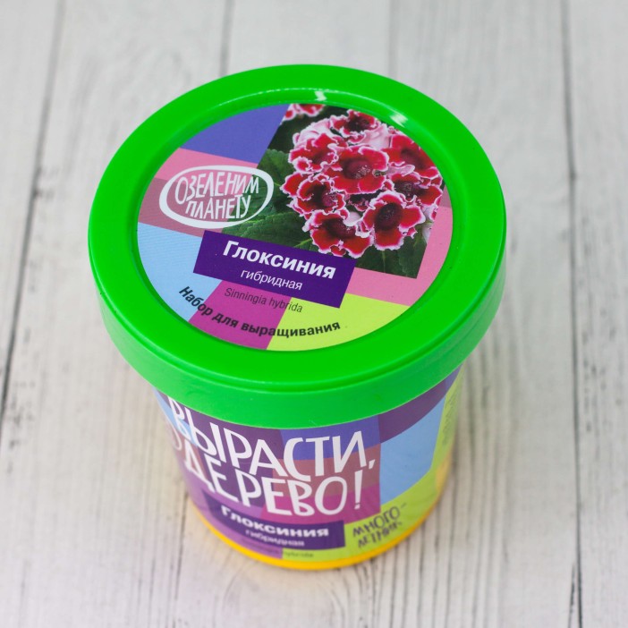 Набор для выращивания &quot;Глоксиния гибридная&quot; 