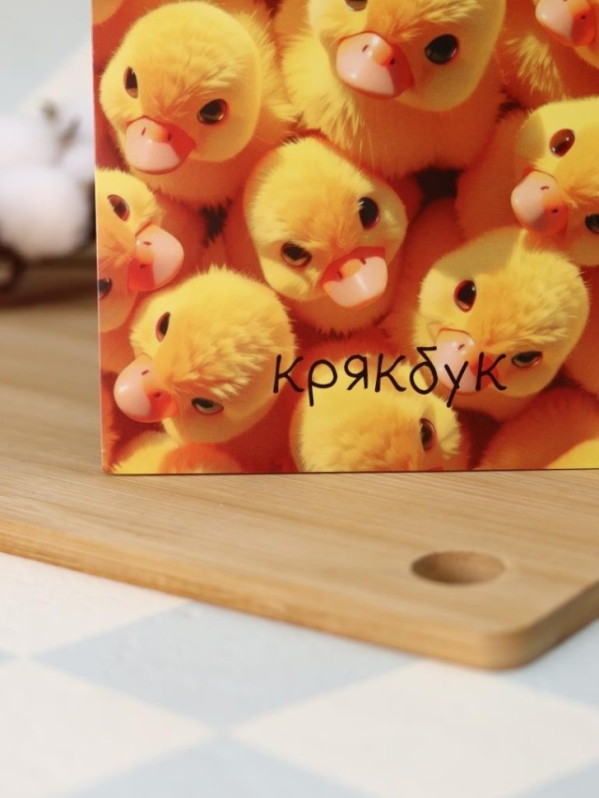 Блокнот для зарисовок DRAW ME! "Утиная вечеринка", 14х20 см, плотность 100 гр