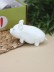 Мялка - антистресс «Home animal», white 